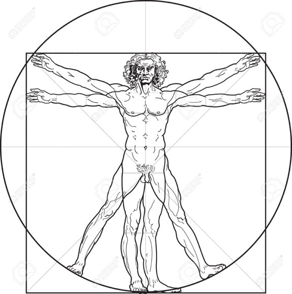 5681604-l-uomo-vitruviano-o-almeno-così-ha-chiamato-l-uomo-di-leonardo-disegno-dettagliato-sulla-base-di.jpeg
