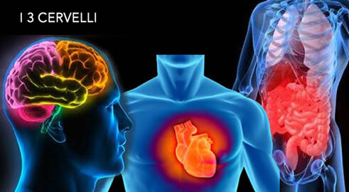 3cervelli-vivi-la-vita-che-desideri.jpeg 3cervelli-vivi-la-vita-che-desideri.jpeg