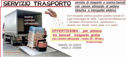 pellet 2026 camion.jpeg