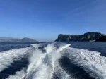 fast-transfer-service-capri-napoli-vv
