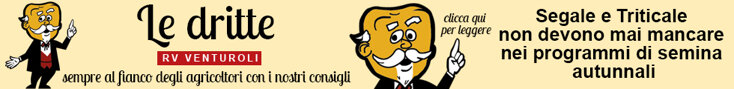 banner 25 luglio.jpeg