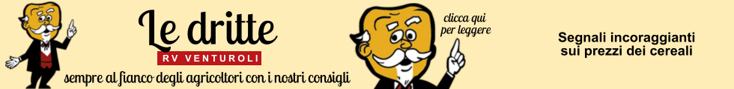 base banner.psd