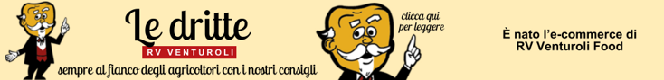base banner.psd