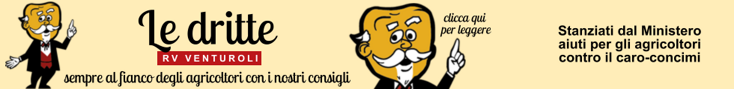 base banner.psd