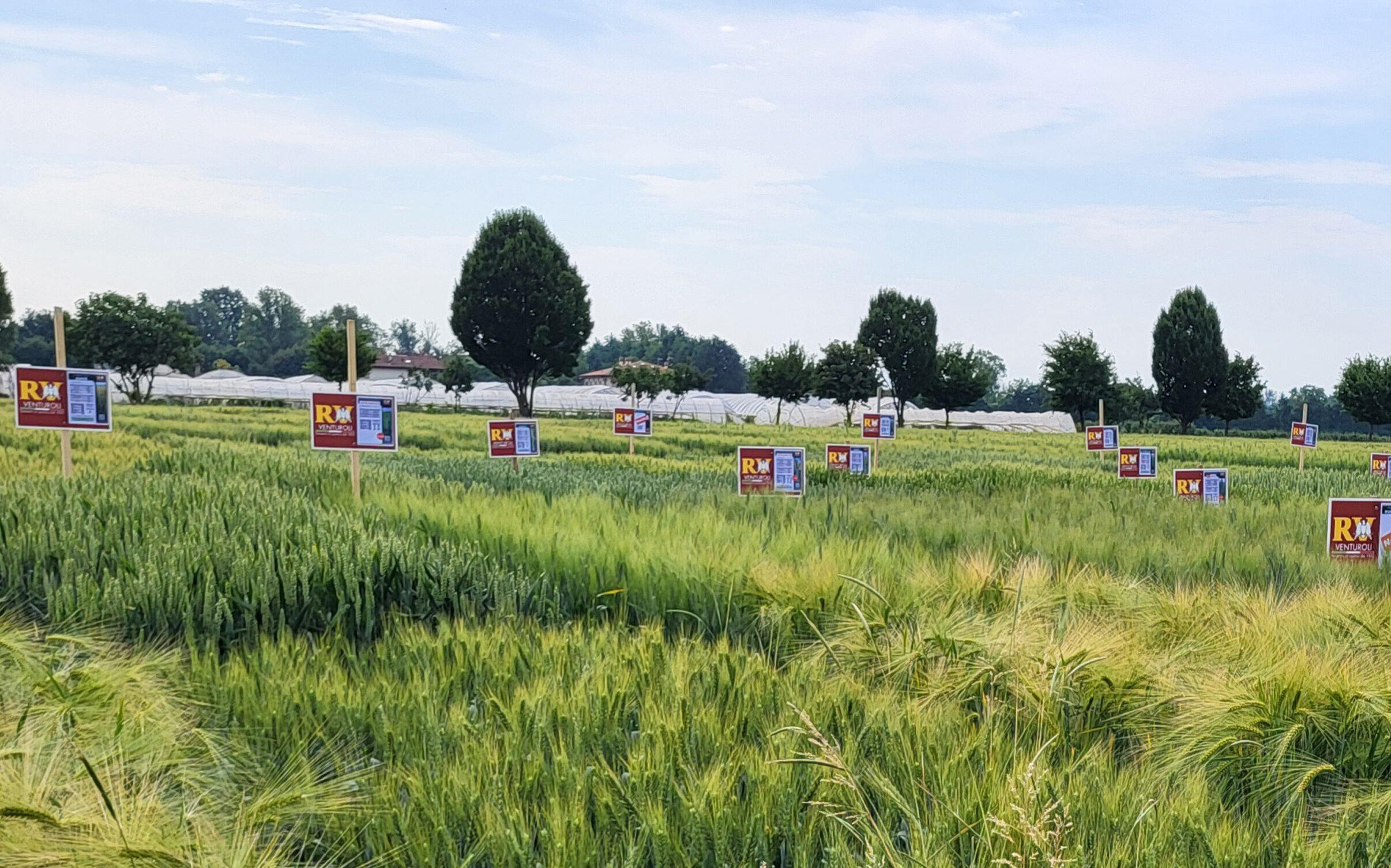 foto-apertura.jpeg foto-apertura.jpeg