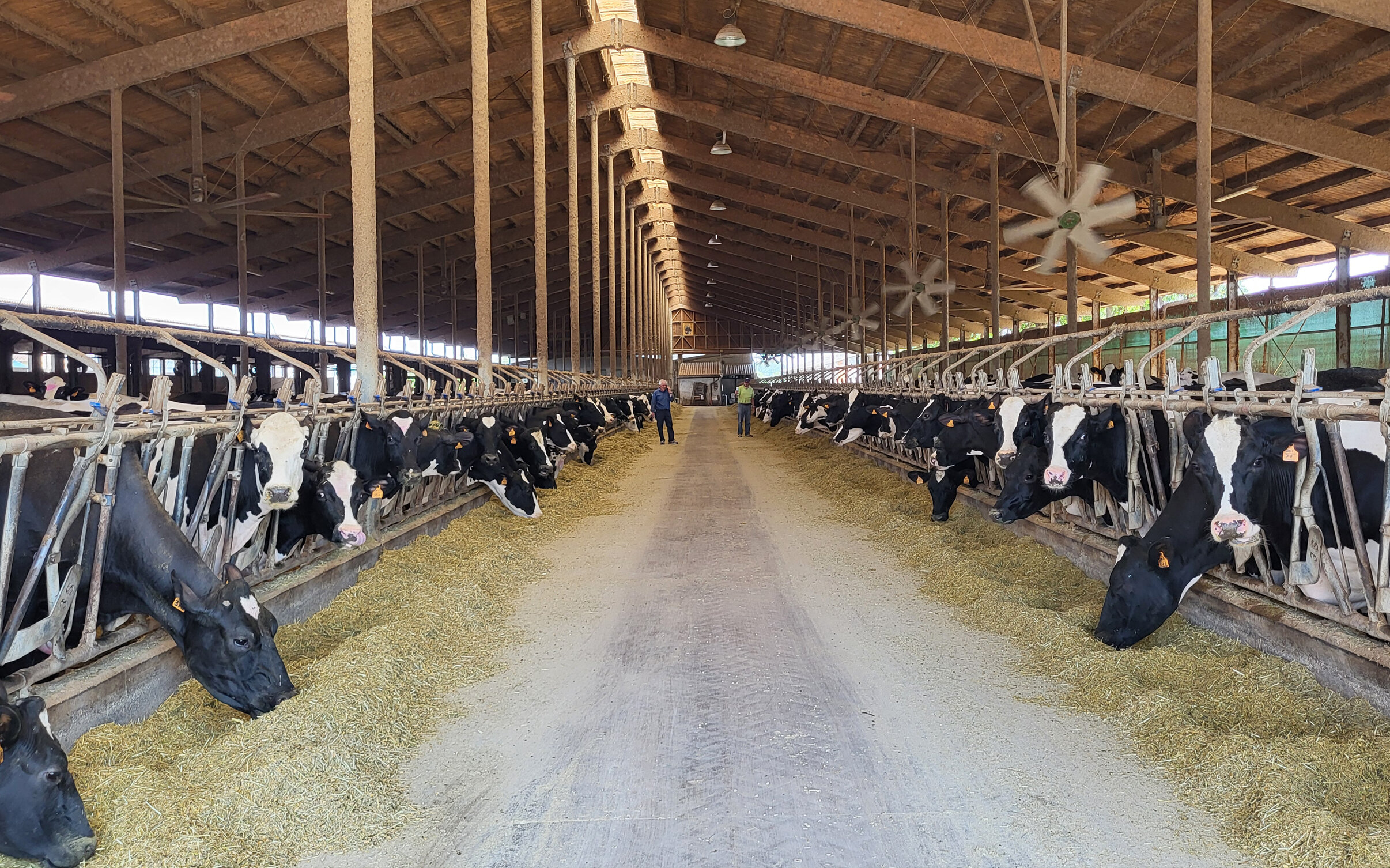 20240606_143758.jpeg 20240606_143758.jpeg