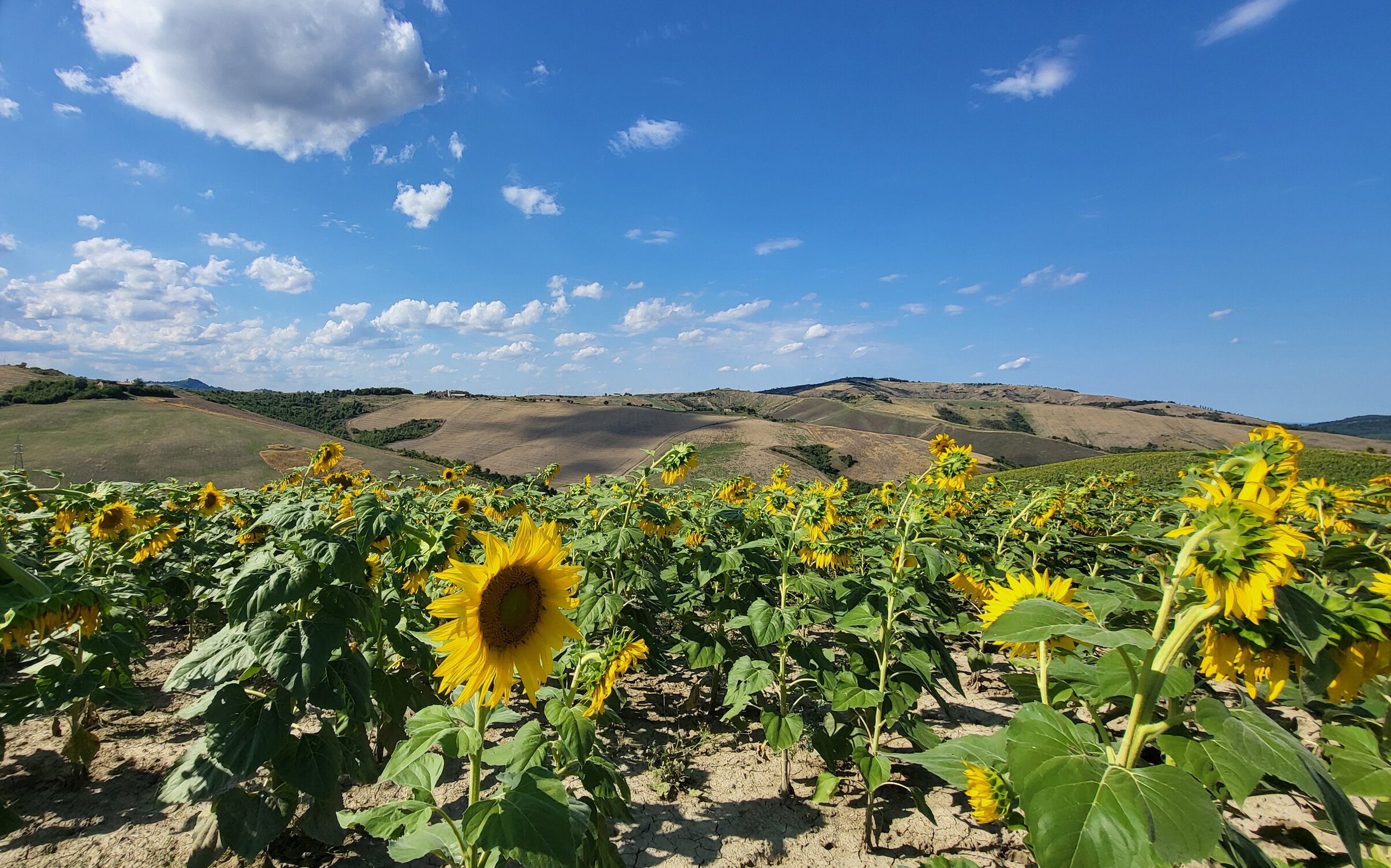 20250730_164828.jpeg 20250730_164828.jpeg