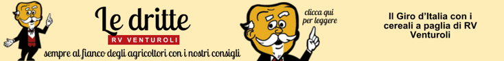 base banner.psd
