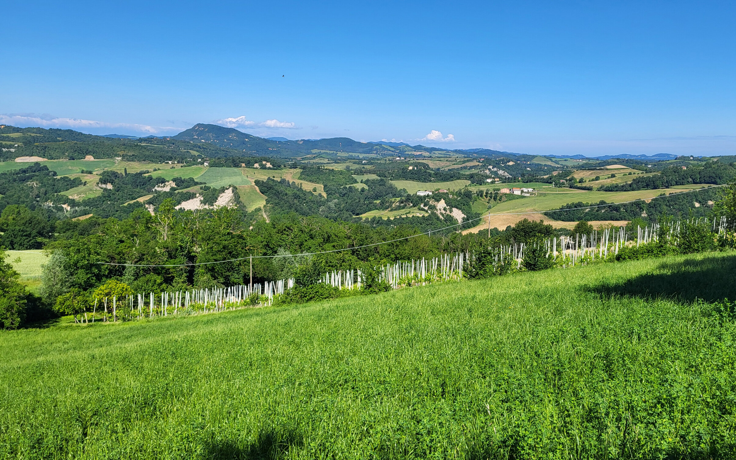 Titoli PAC da Riserva Nazionale: quando si possono vendere
