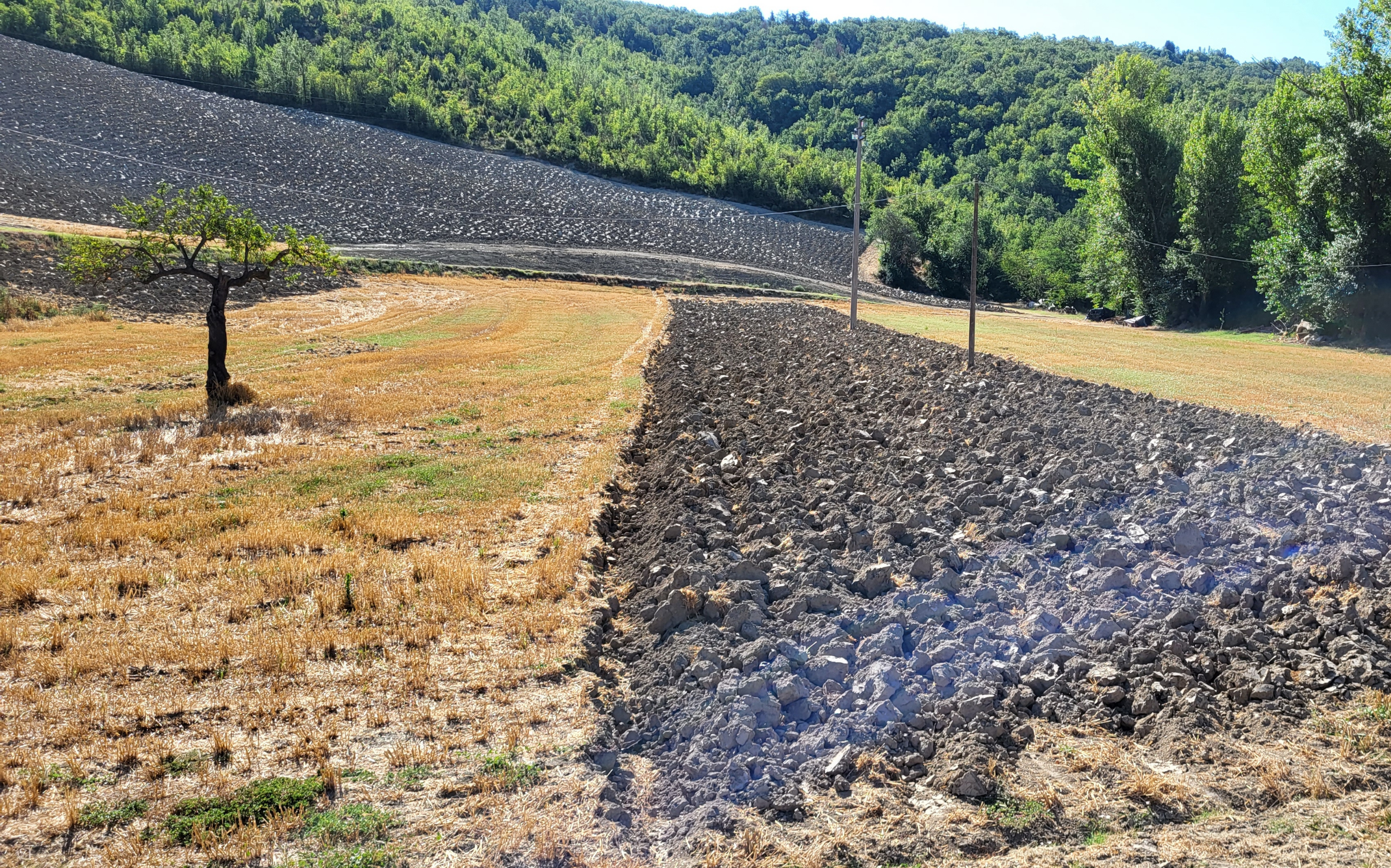 L’aratura profonda è dura a morire e il terreno si impoverisce