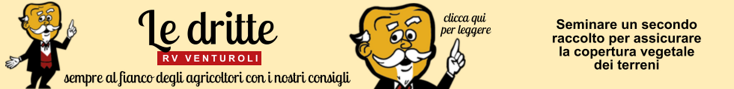 base banner.psd