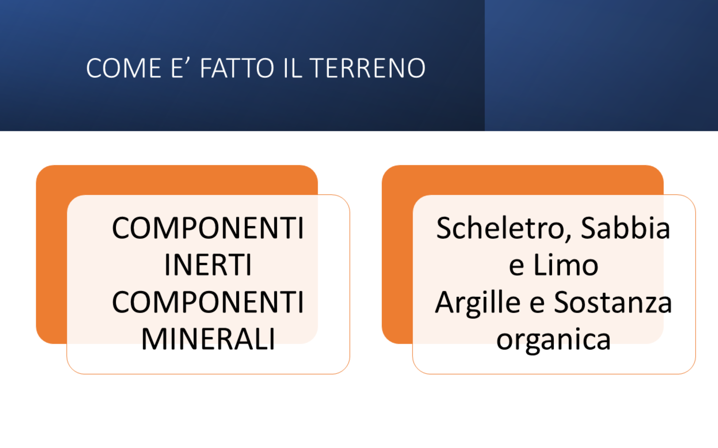 girasole.png girasole.png