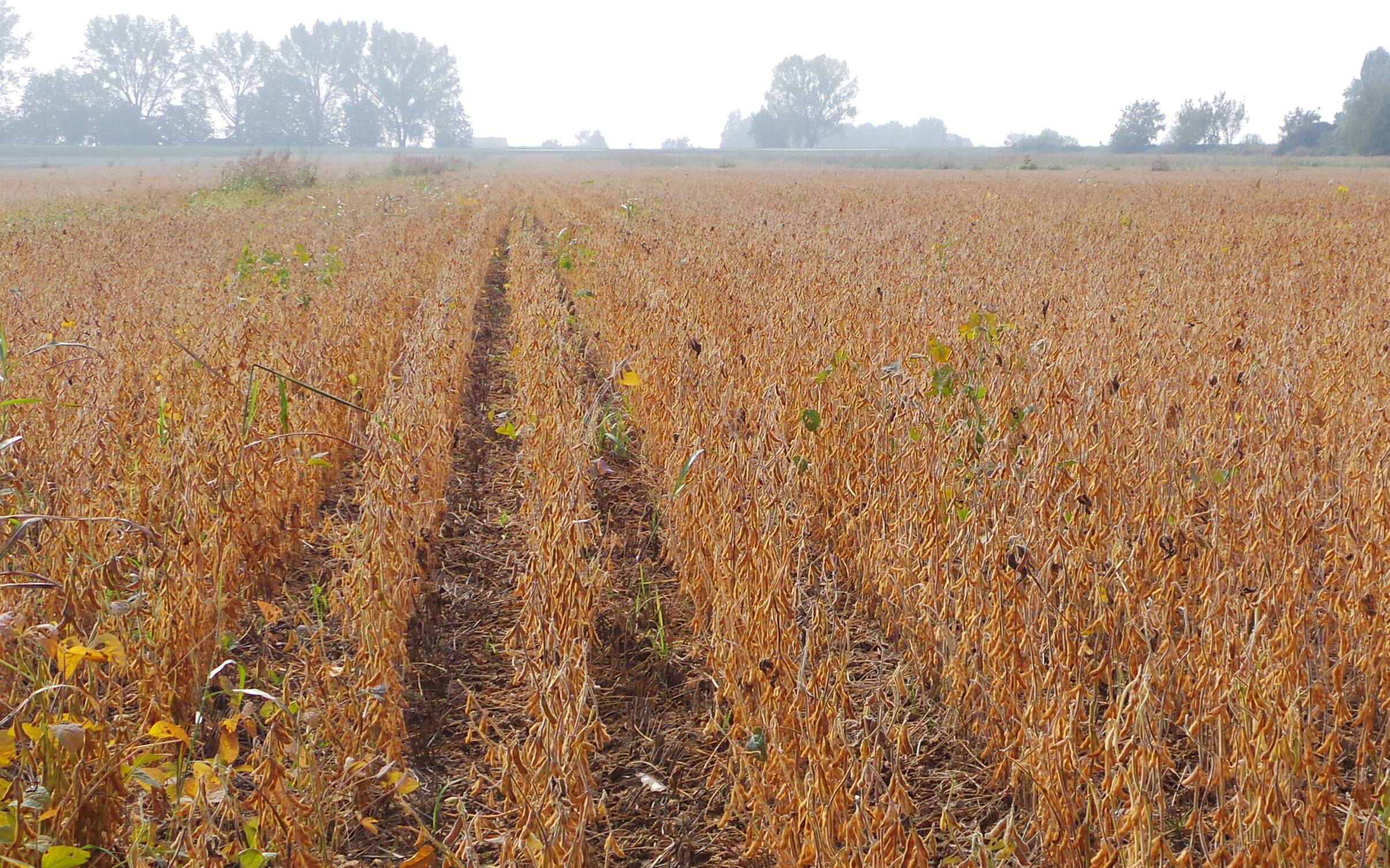 PAC: tutti i saldi dei pagamenti erogabili dal 1 dicembre 2025