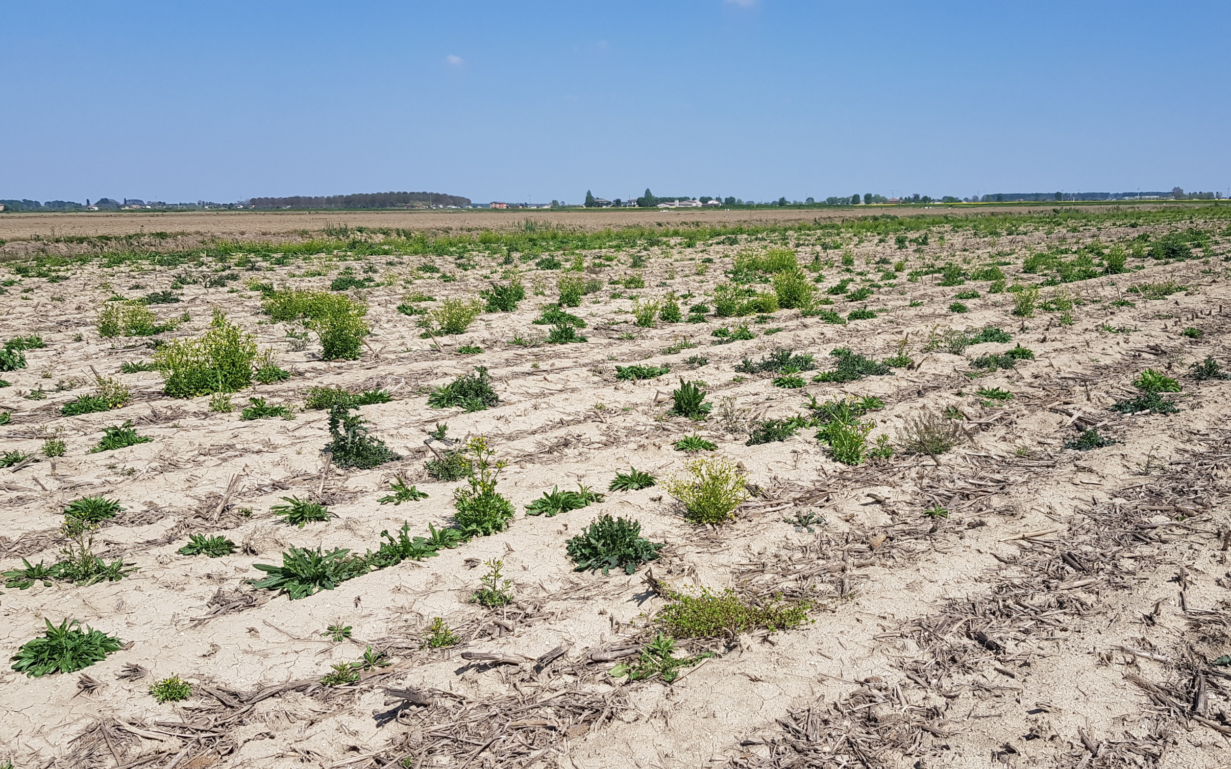 BCAA 6: Il satellite controlla la copertura minima del suolo - Le sanzioni per il 2024