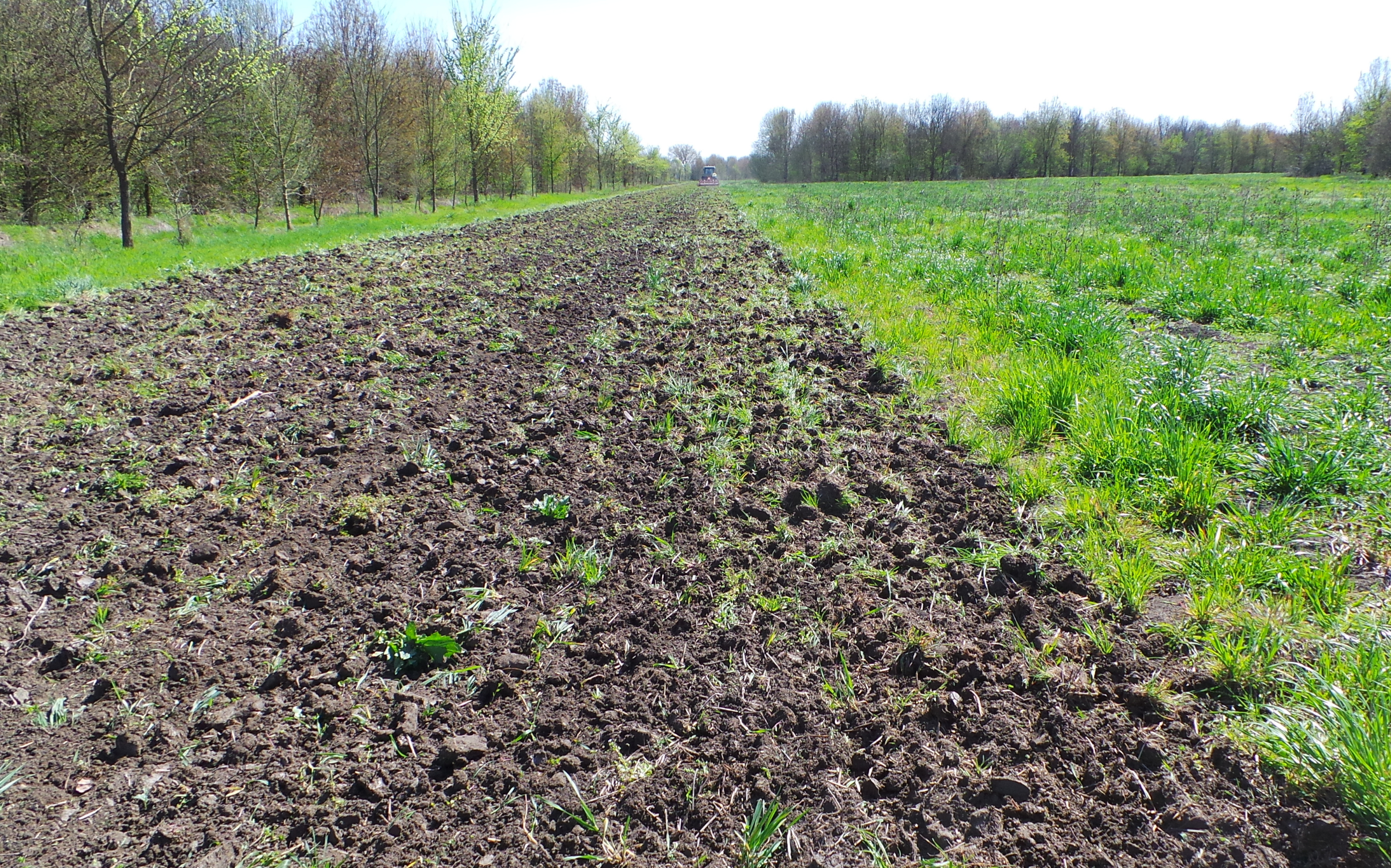 Quanto vale un terreno sano? Ce lo diranno i dati del progetto "In BestSoil"