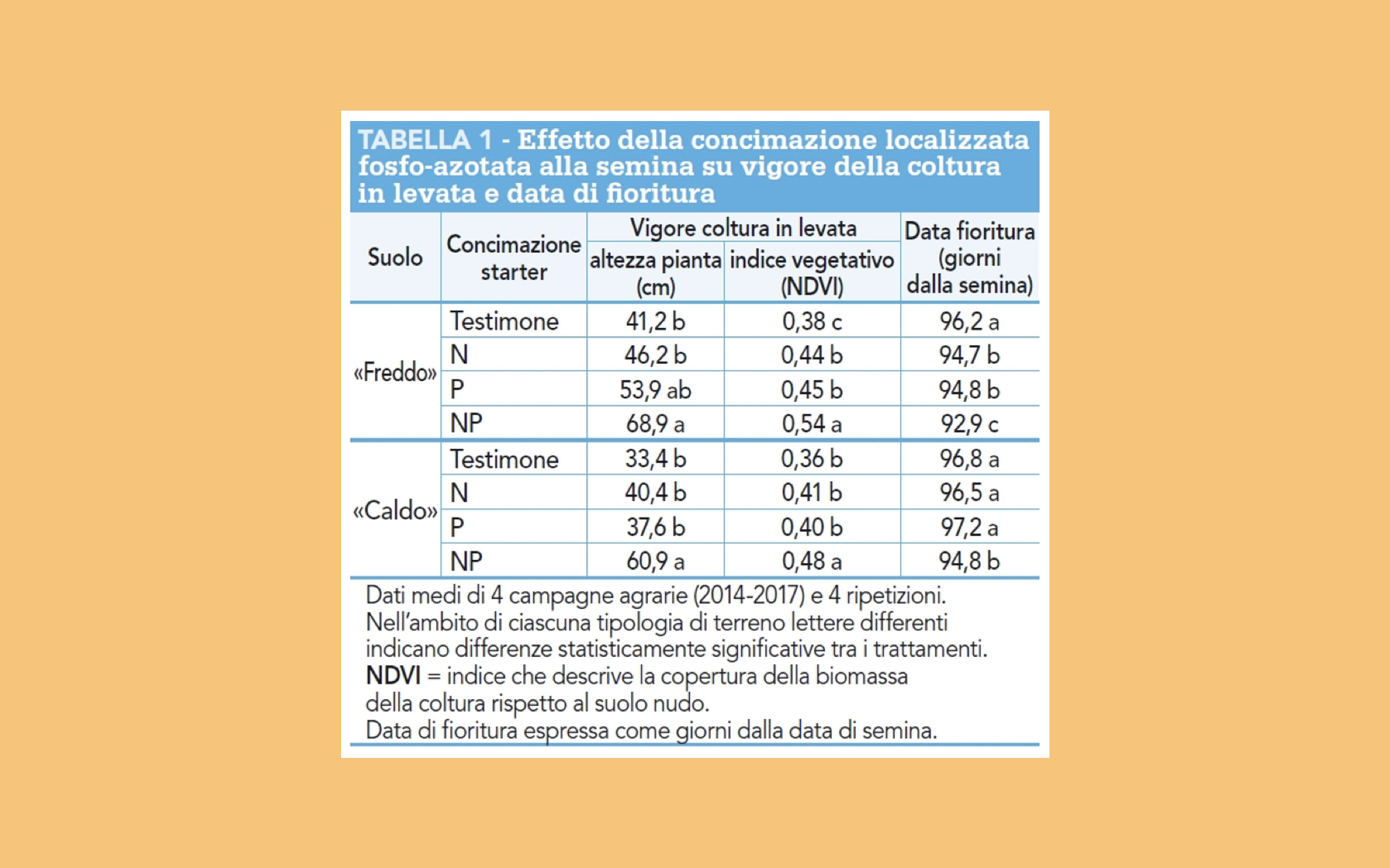 foto-6.jpeg foto-6.jpeg