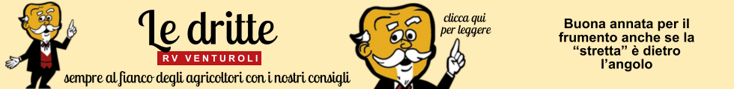 base banner.psd