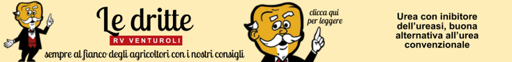 base banner.psd (1)