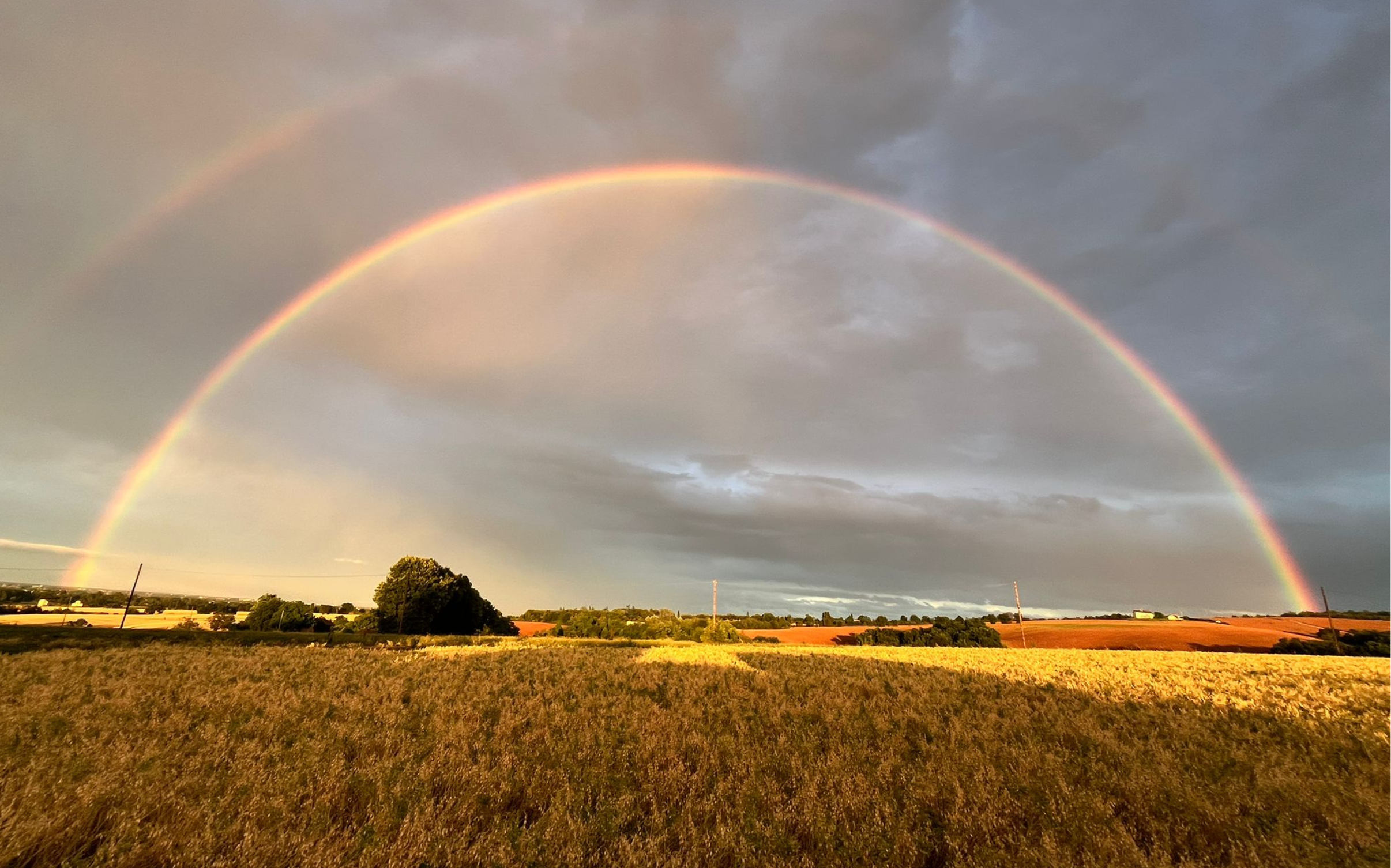 Non c&rsquo;&egrave; solo l&rsquo;agronomia! Oggi fare agricoltura significa fare impresa!