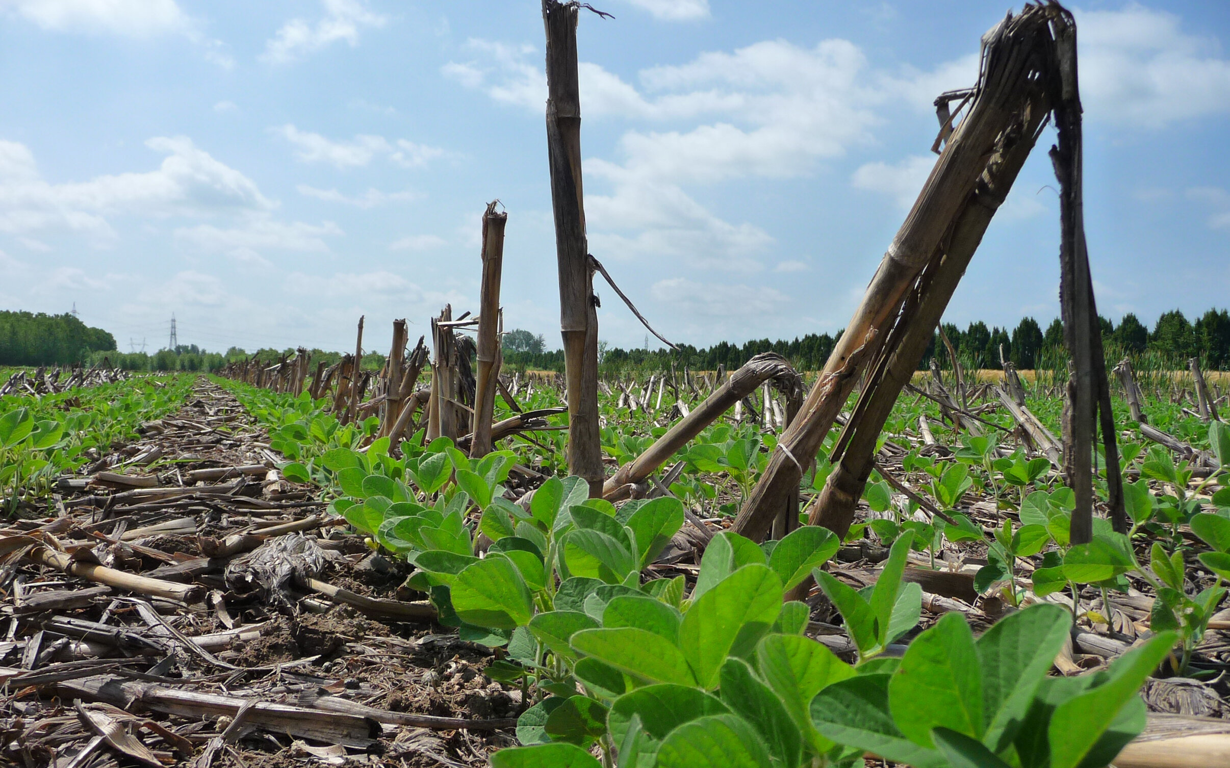 Scelta e gestione delle macchine per l’agricoltura conservativa
