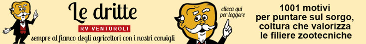 banner 15 ottobre.jpeg