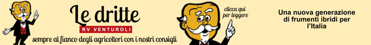 base banner.psd