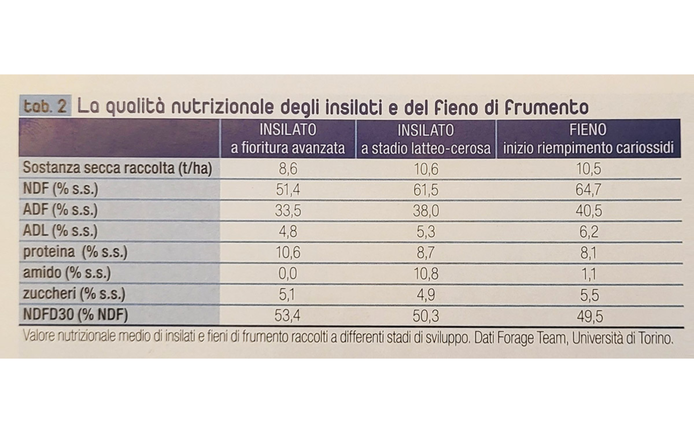 girasole.png girasole.png