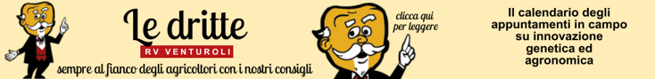 base banner.psd (2)