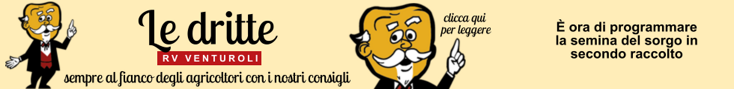 base banner.psd