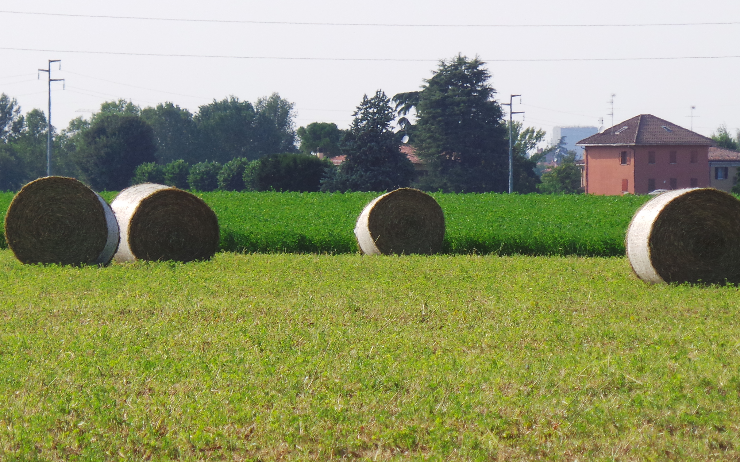 Più medica in azienda perché la terra deve sostenere la stalla