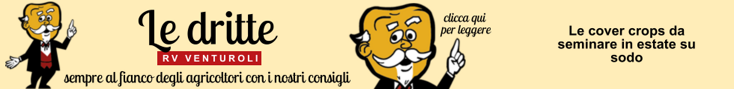 base banner.psd