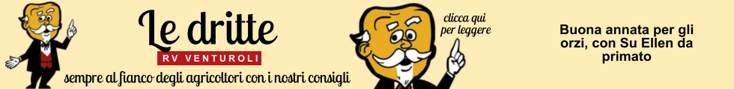 base banner.psd