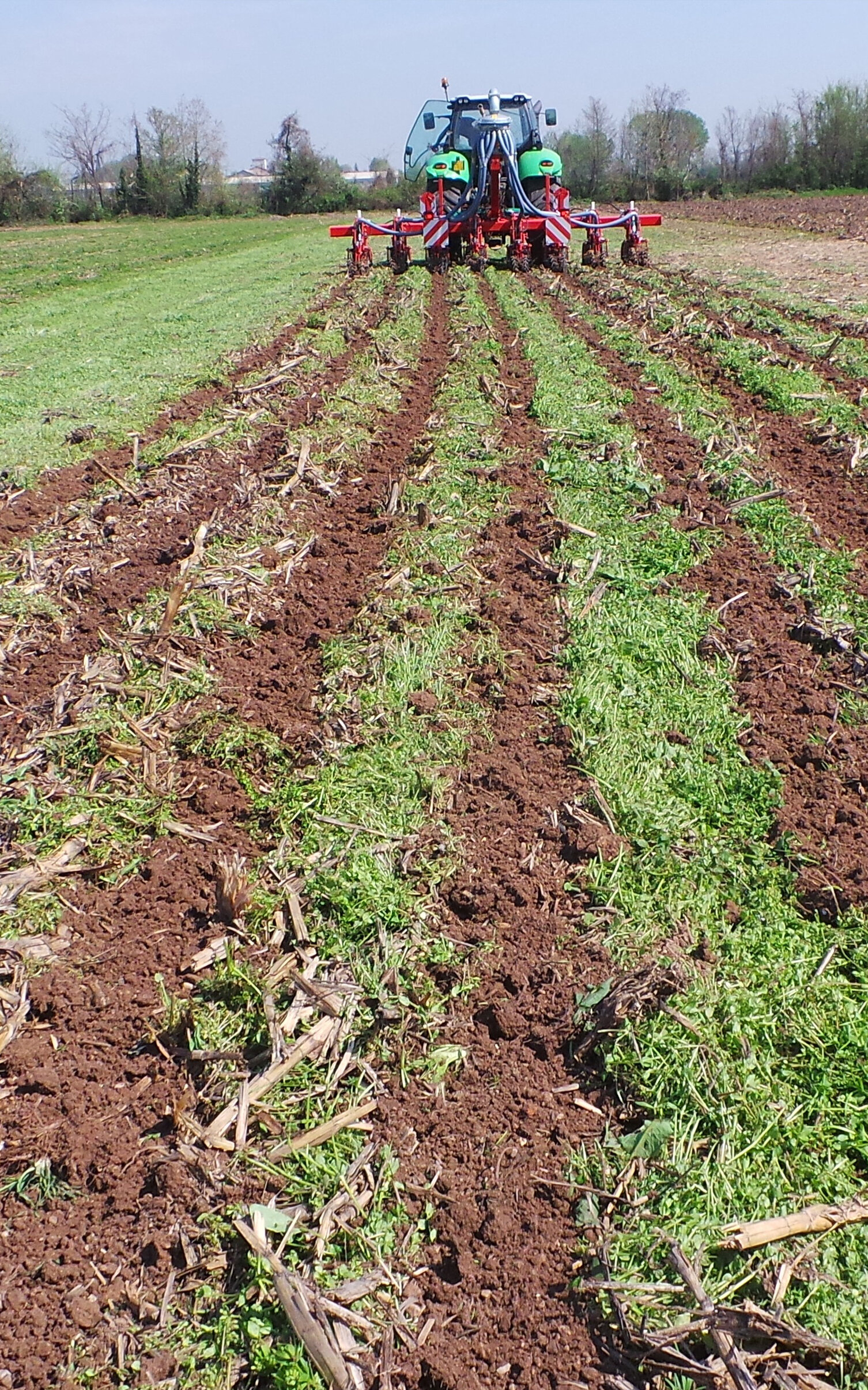 foto-8.jpeg foto-8.jpeg