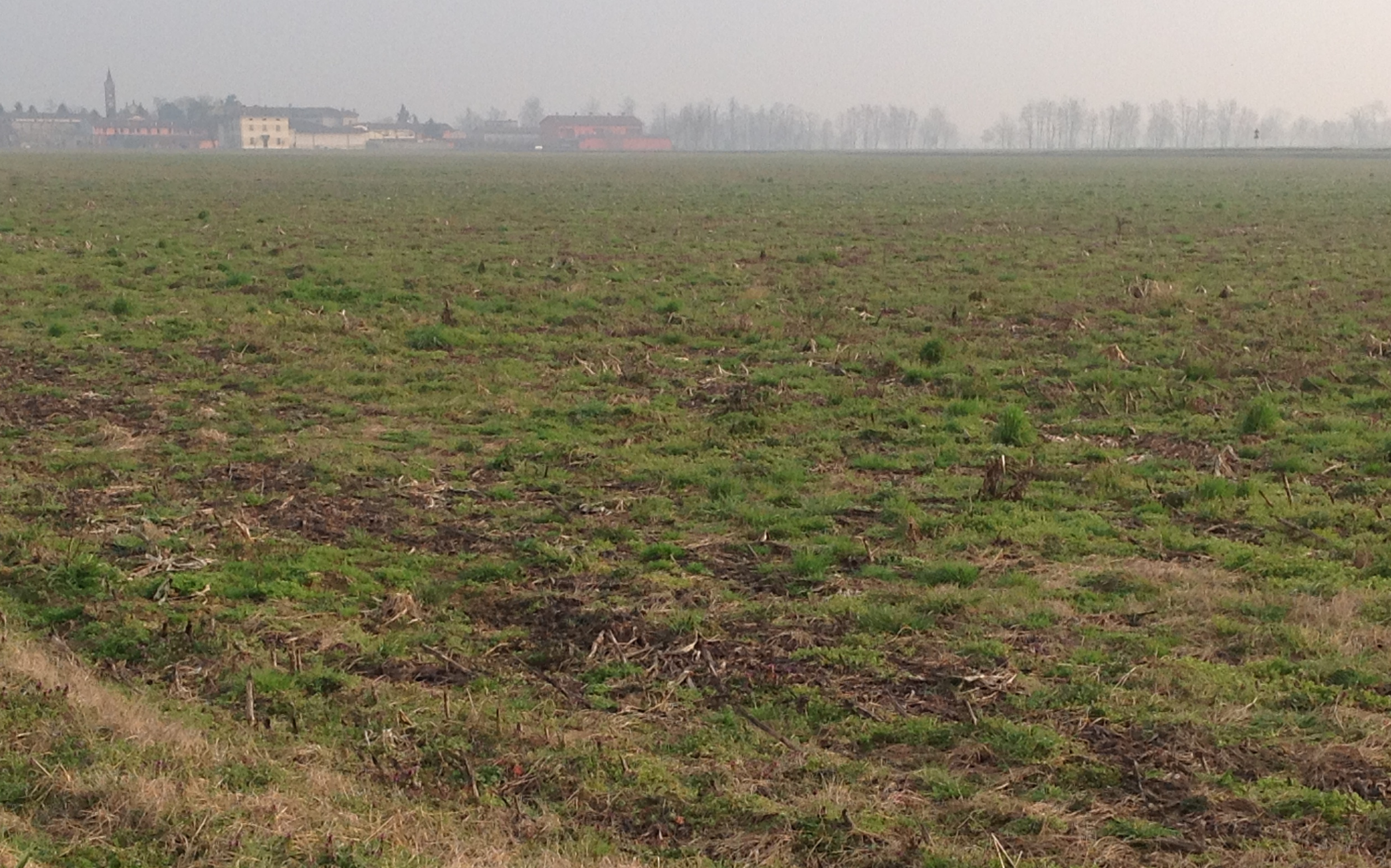 copia-di-articolo-6-febbraio.png copia-di-articolo-6-febbraio.png