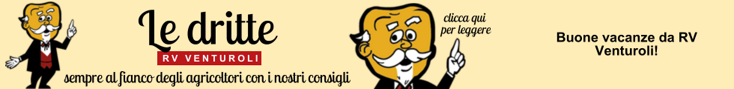 base banner.psd