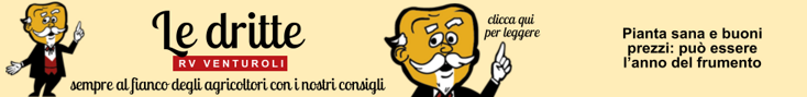 base banner.psd