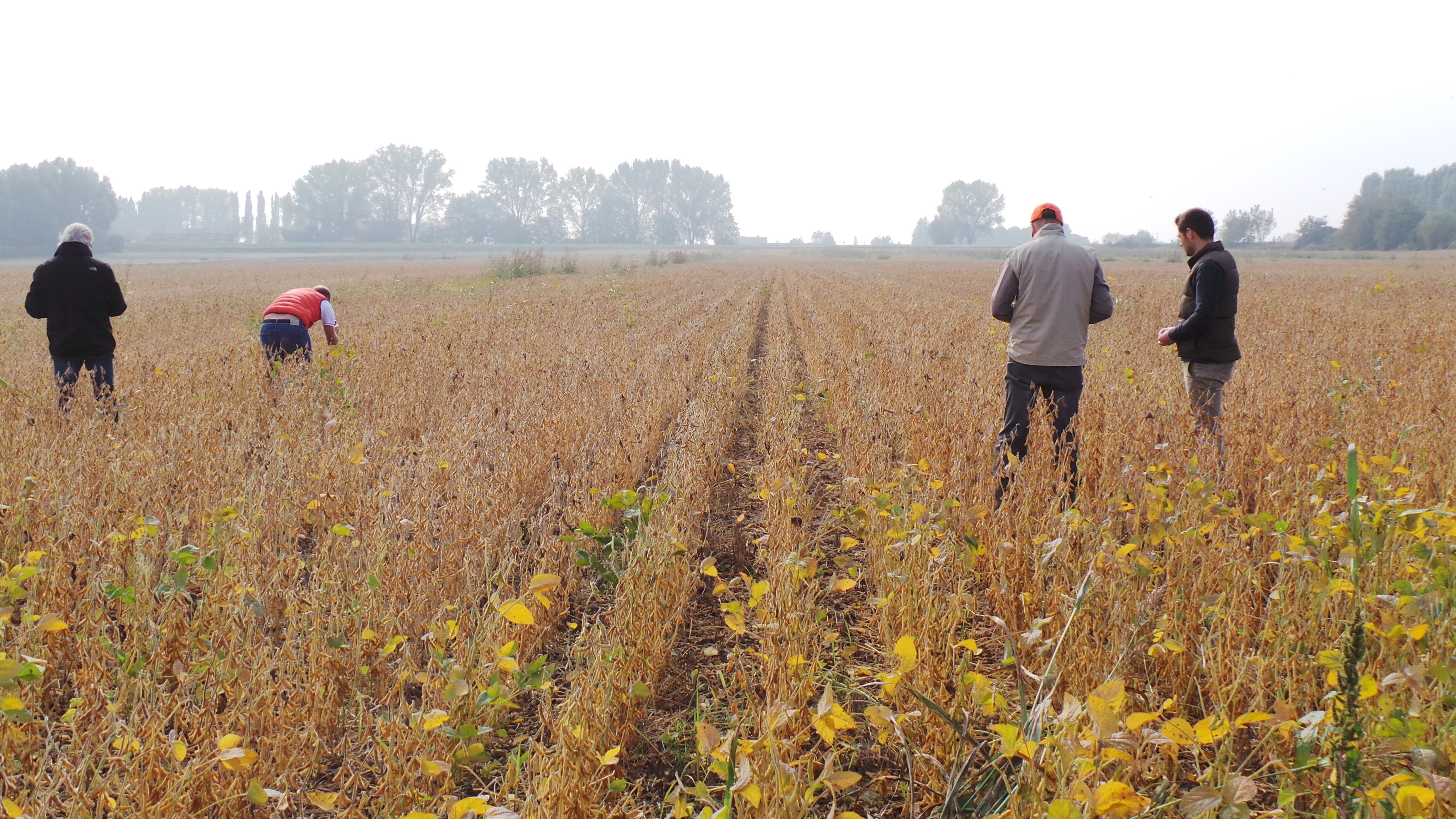 Una PAC complicatissima? Non è colpa di Bruxelles ma della burocrazia italiana