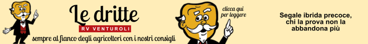 base banner.psd