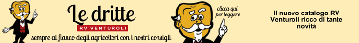 base banner.psd