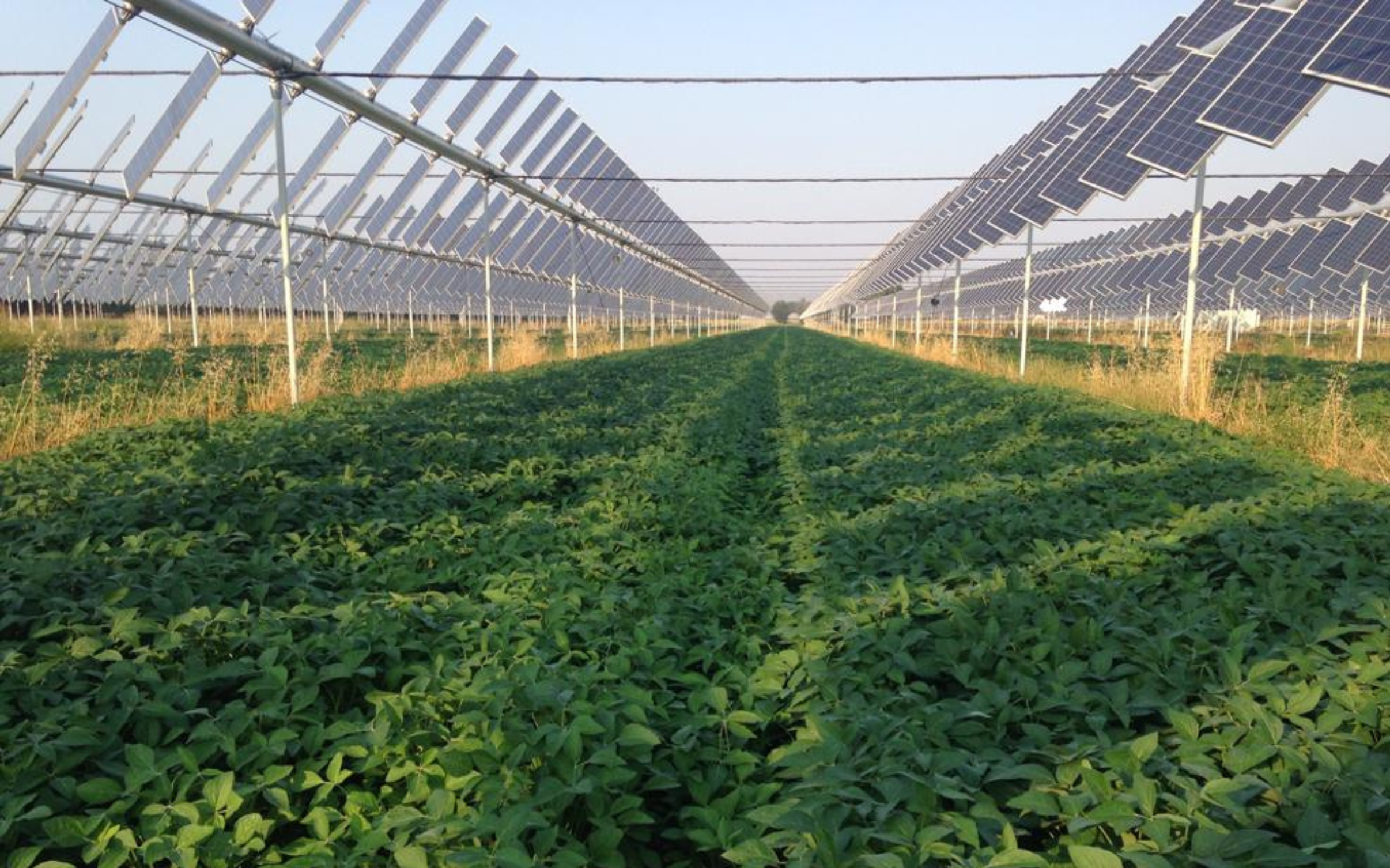 articolo-16-febbraio.png articolo-16-febbraio.png