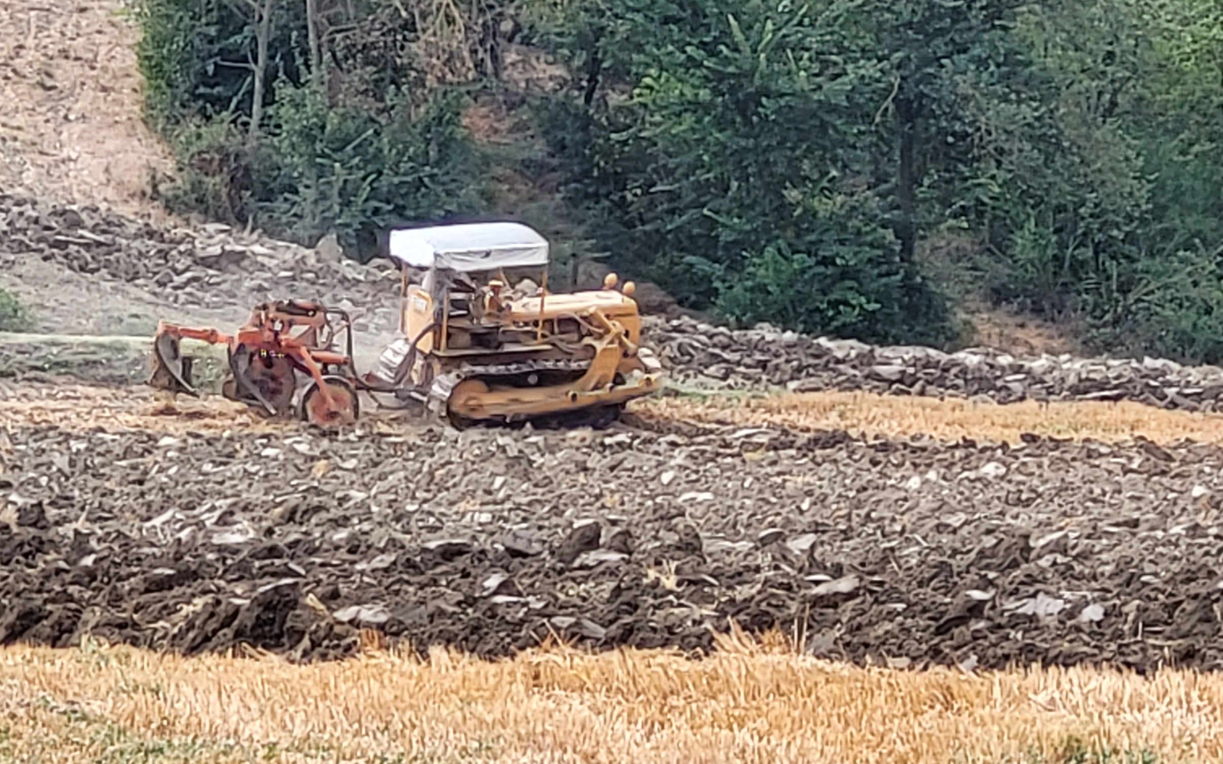 L’impatto negativo dell’aratura sulla vitalità del terreno