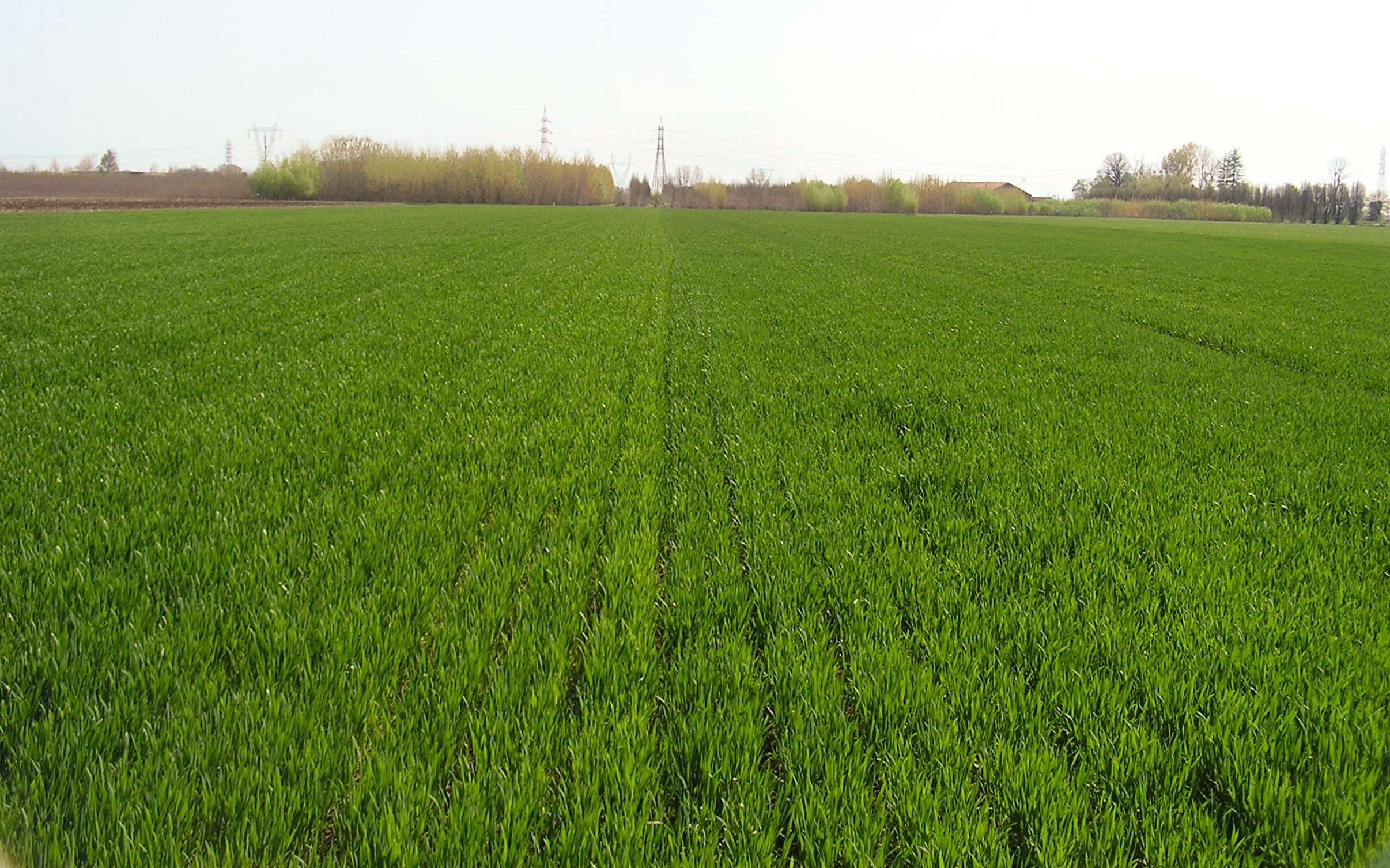 foto-apertura.jpeg foto-apertura.jpeg