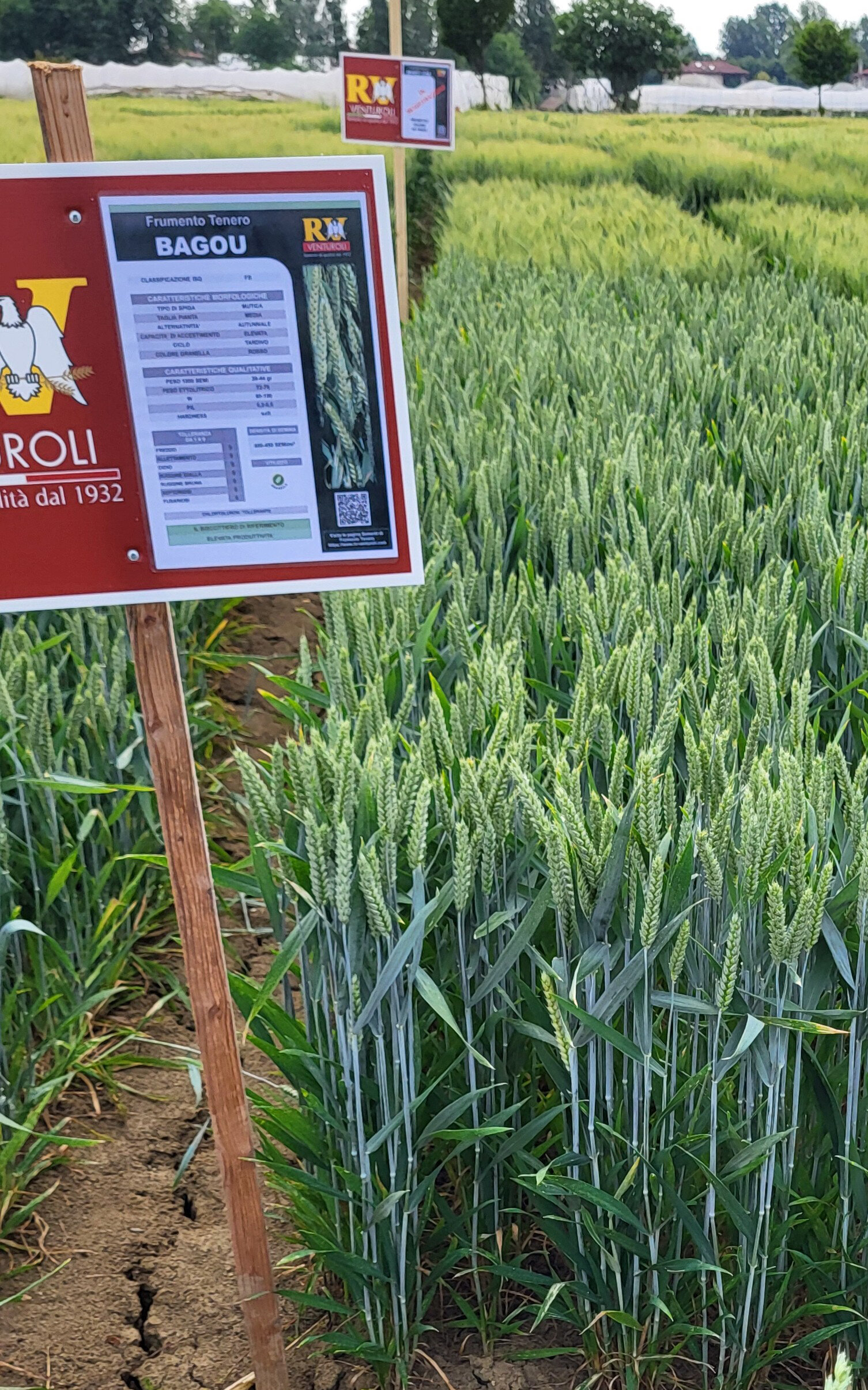 foto-1.jpeg foto-1.jpeg