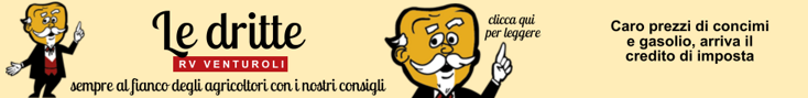 base banner.psd