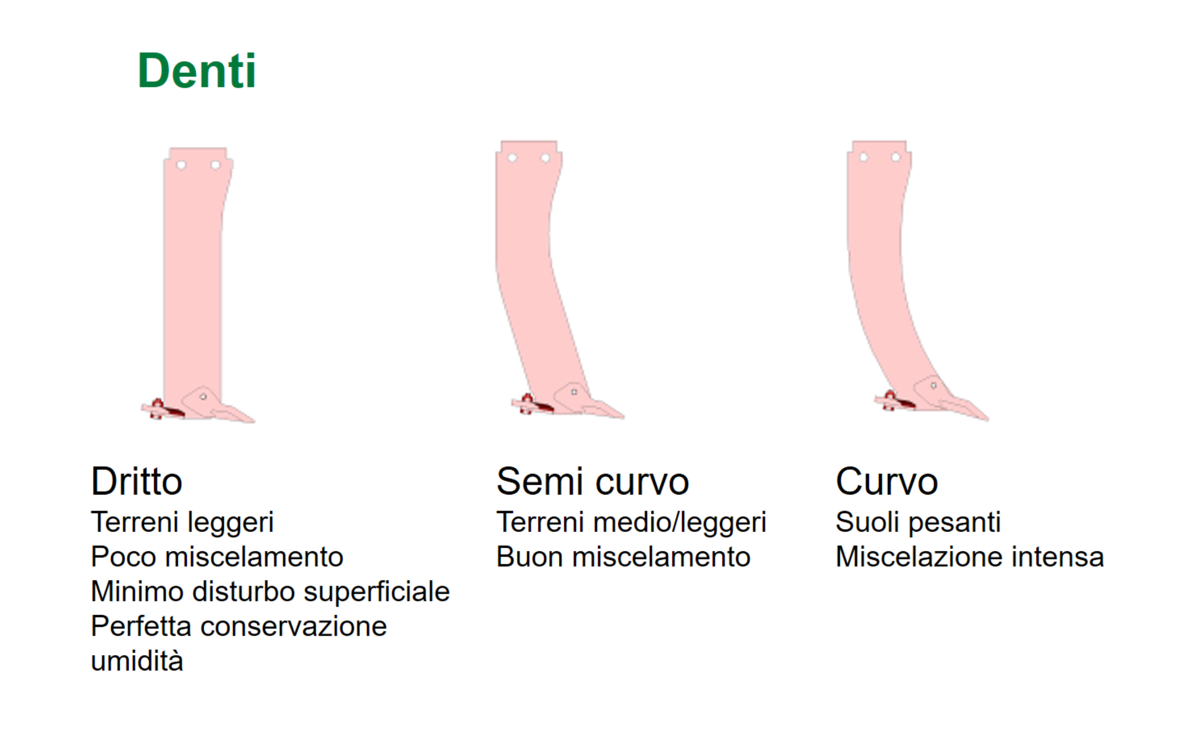 girasole-(5).png