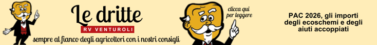 base banner.psd