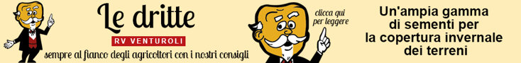banner 29 agosto.jpeg