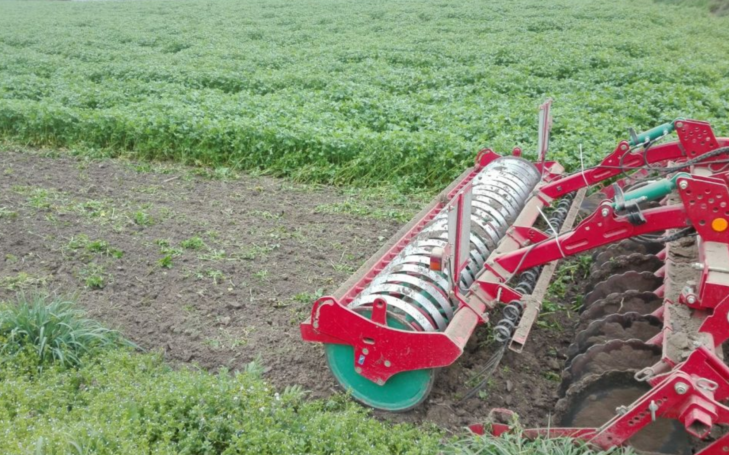 La scelta della cover crop in funzione degli obiettivi che si vogliono raggiungere