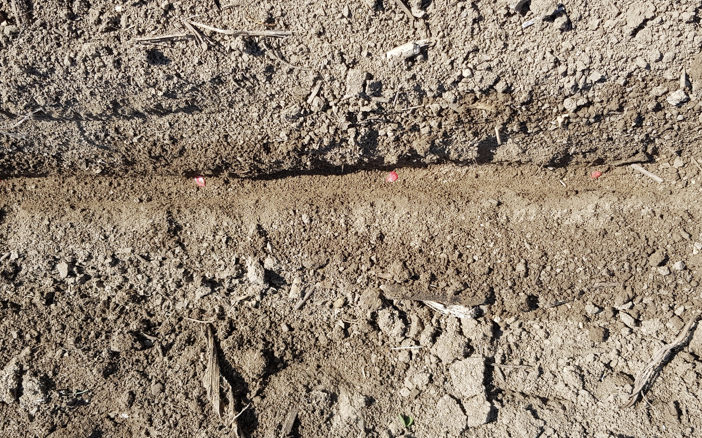 foto-2.jpeg foto-2.jpeg