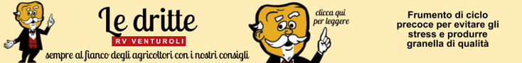 base banner.psd